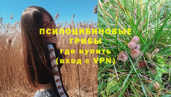 спиды Бронницы