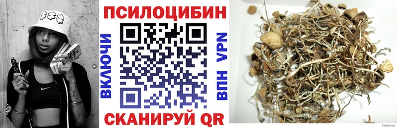 Псилоцибиновые грибы Psilocybine cubensis  наркошоп  Сургут 